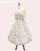 CgO[~/Light gray~Beige