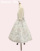 CgO[~/Light gray~Beige