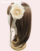 ~A/Beige~Beige A