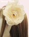 ~A/Beige~Beige A