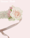 44@sN~sN/Pink~Pink