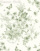CgO[/Light Green