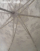 /Beige